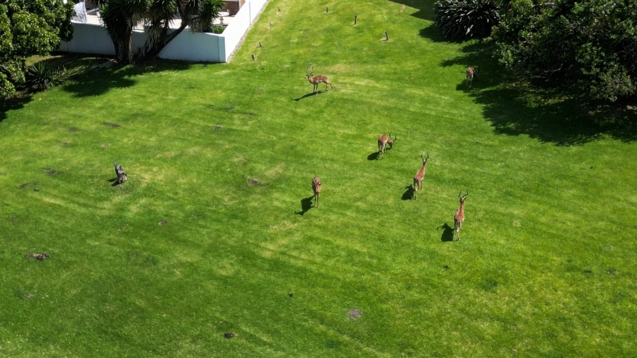 6 Bedroom Property for Sale in Cove Rock Eastern Cape